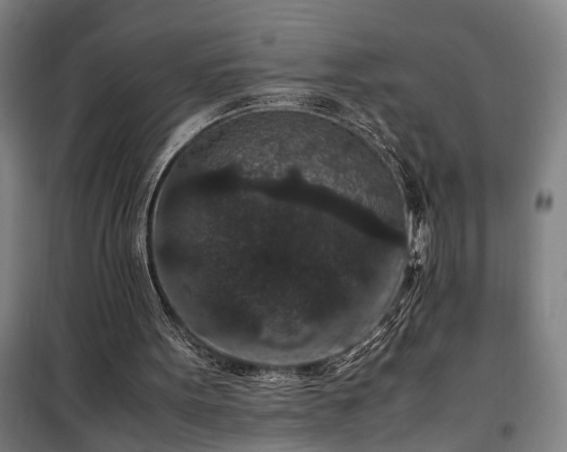 X0000100340099200806121200