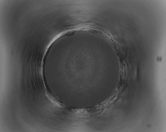 X0000100340100200806121200