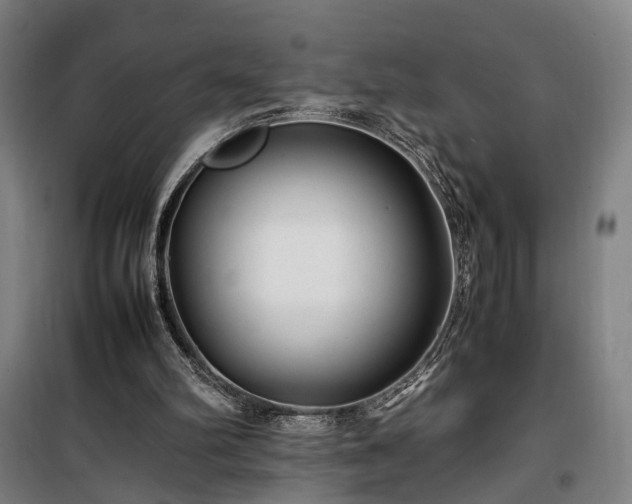 X0000100340102200806121200