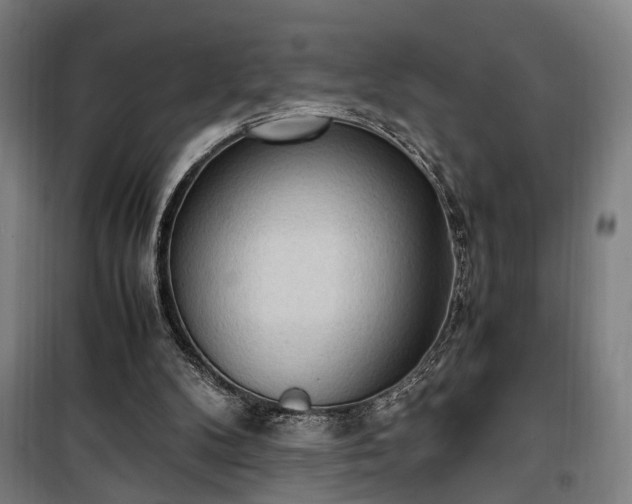 X0000100340104200806121200