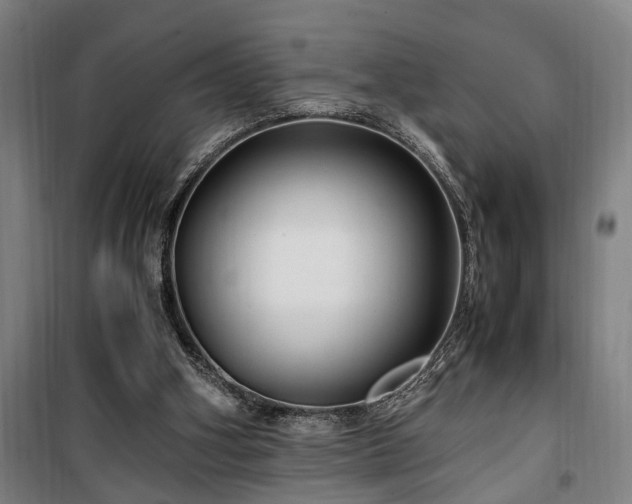 X0000100340106200806121200