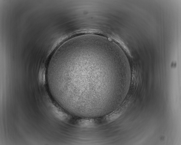 X0000100340110200806121200