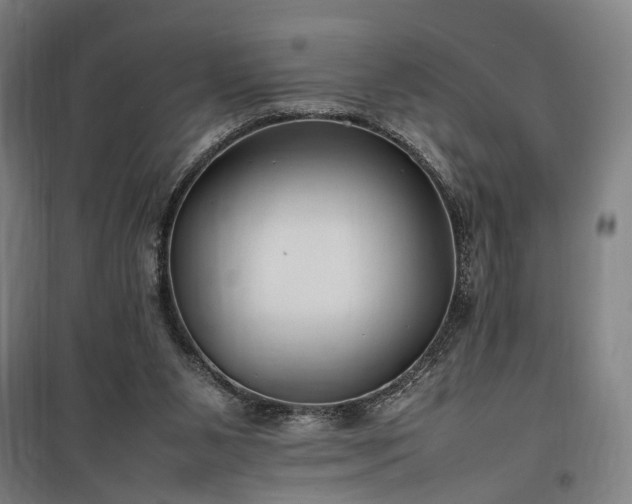 X0000100340111200806121200