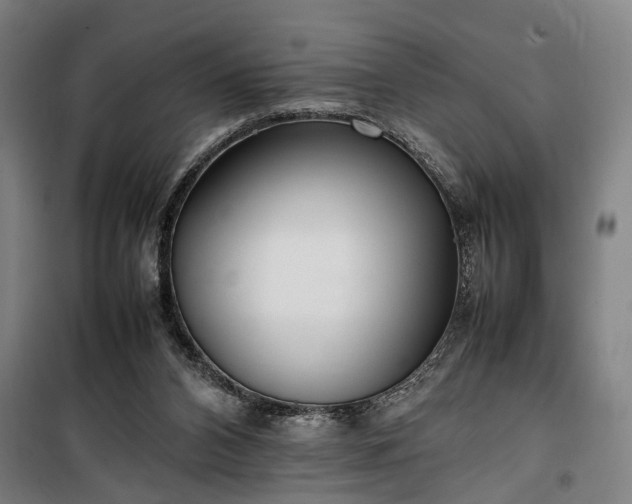 X0000100340112200806121200