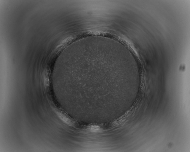 X0000100340114200806121200