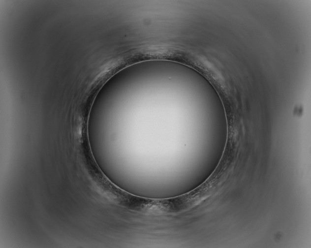 X0000100340115200806121200