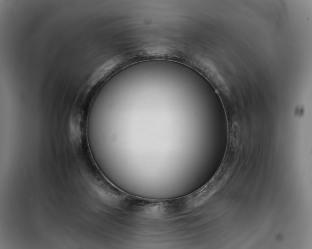 X0000100340116200806121200