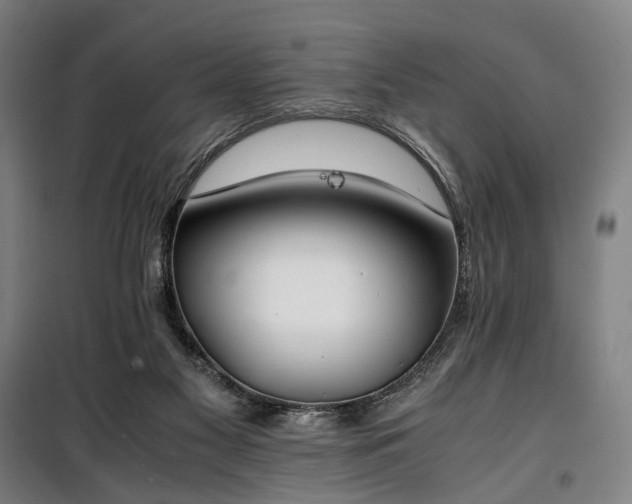 X0000100340117200806121200