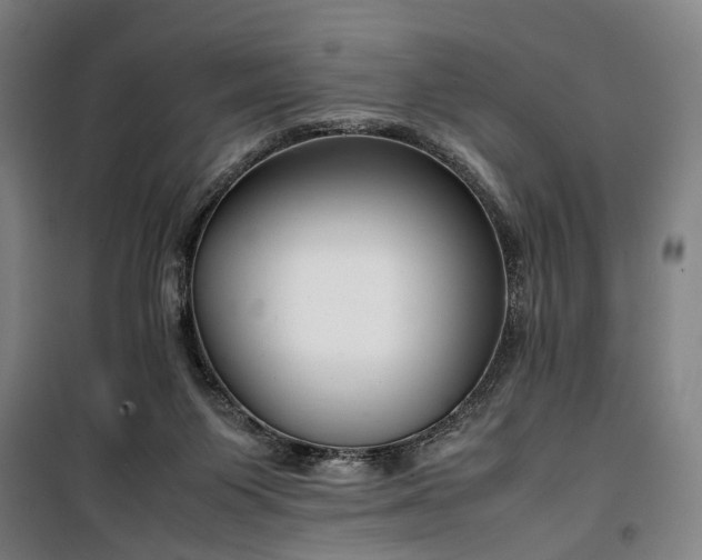 X0000100340119200806121200