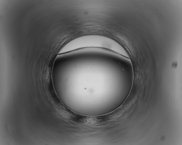 X0000100340121200806121200