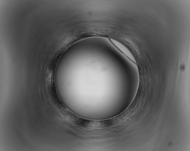 X0000100340123200806121200