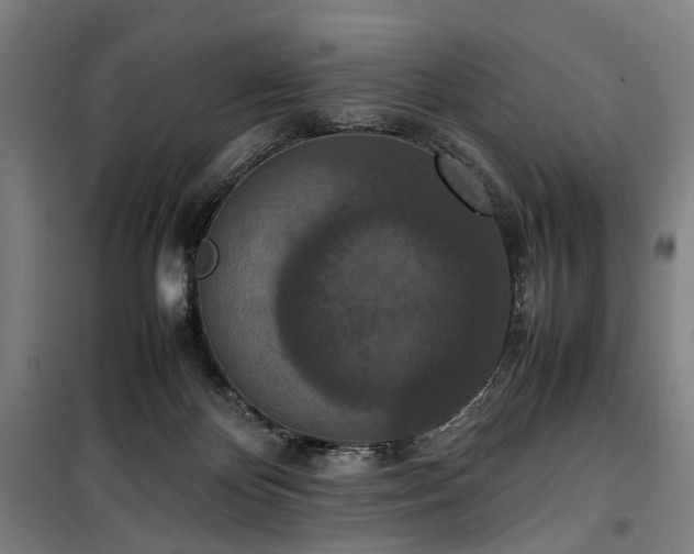 X0000100340124200806121200