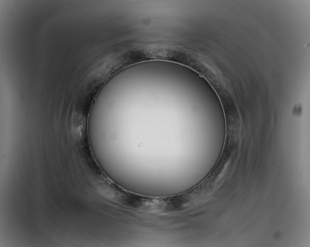 X0000100340125200806121200