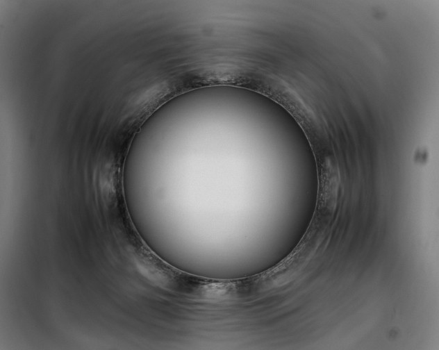 X0000100340126200806121200