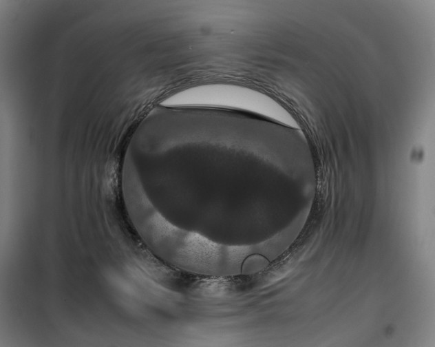 X0000100340127200806121200