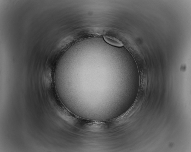 X0000100340128200806121200