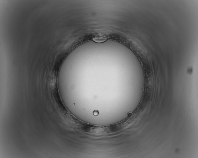 X0000100340129200806121200