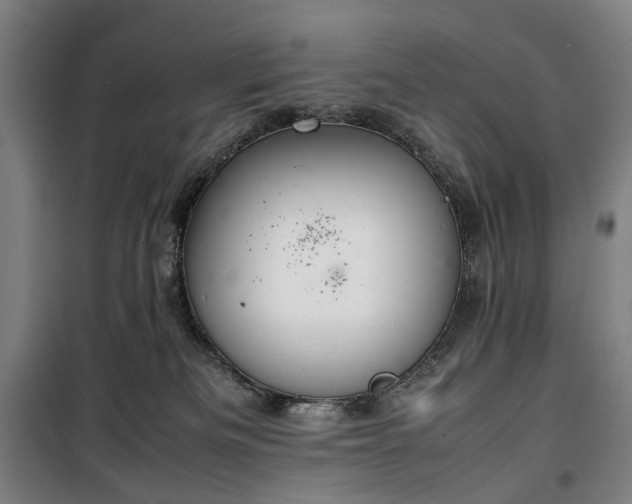 X0000100340133200806121200