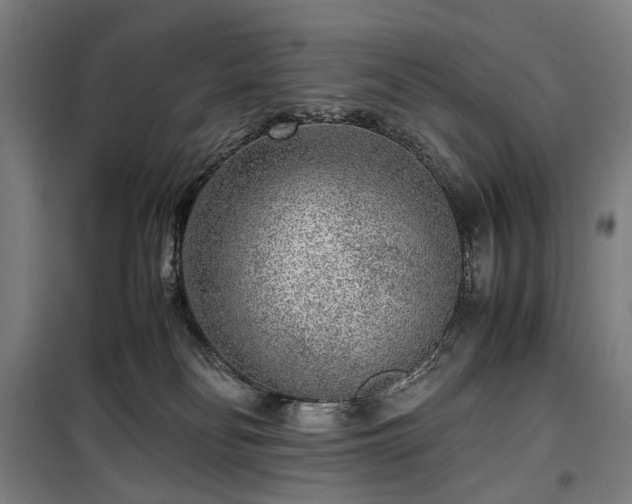 X0000100340134200806121200