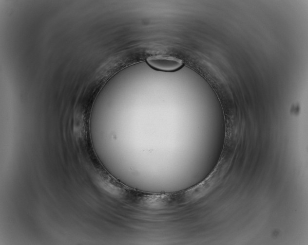 X0000100340136200806121200