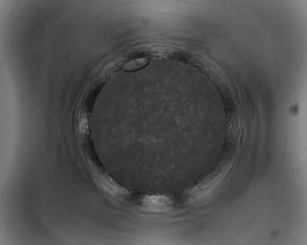 X0000100340137200806121200