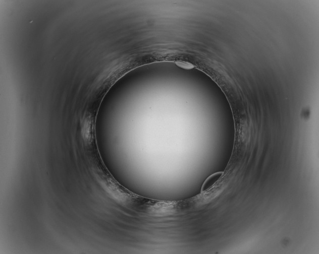 X0000100340138200806121200