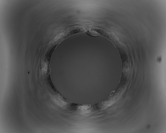 X0000100340139200806121200