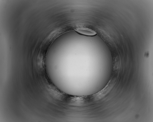 X0000100340140200806121159