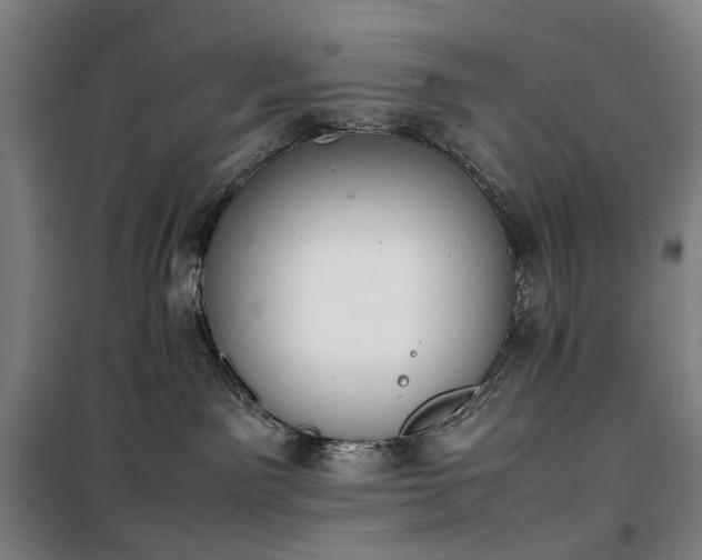 X0000100340141200806121159