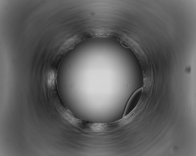 X0000100340142200806121159