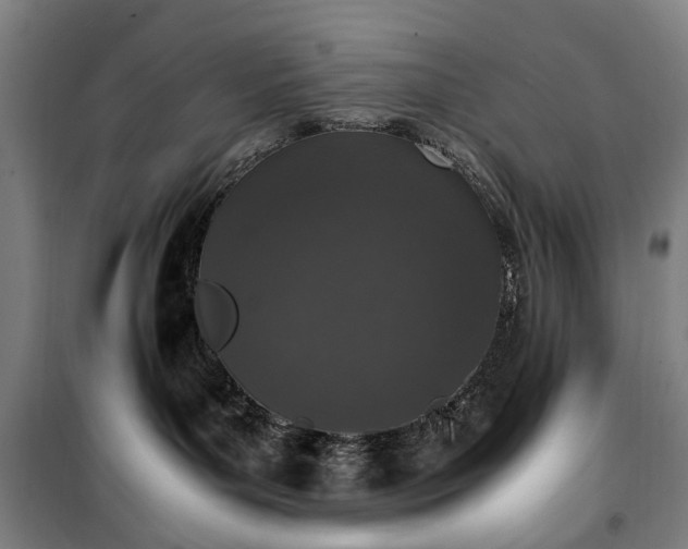 X0000100340143200806121159