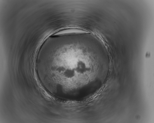 X0000100340145200806121159