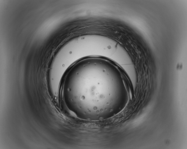 X0000100340146200806121159