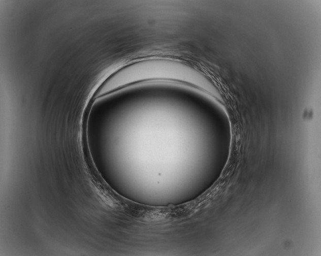 X0000100340148200806121159