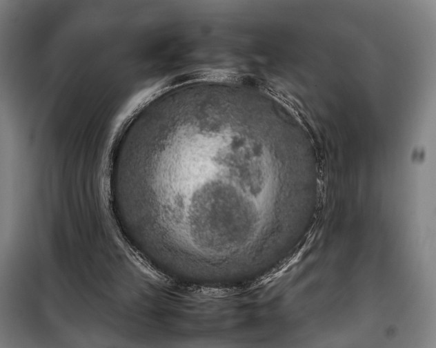 X0000100340149200806121159