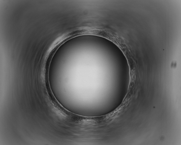 X0000100340150200806121159