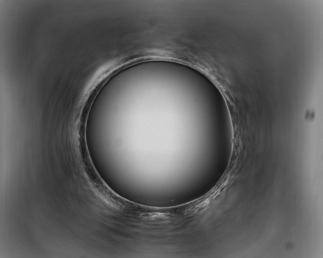 X0000100340151200806121159