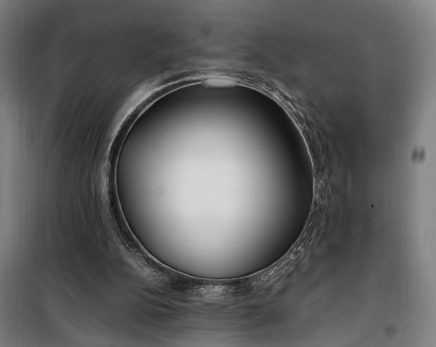 X0000100340152200806121159