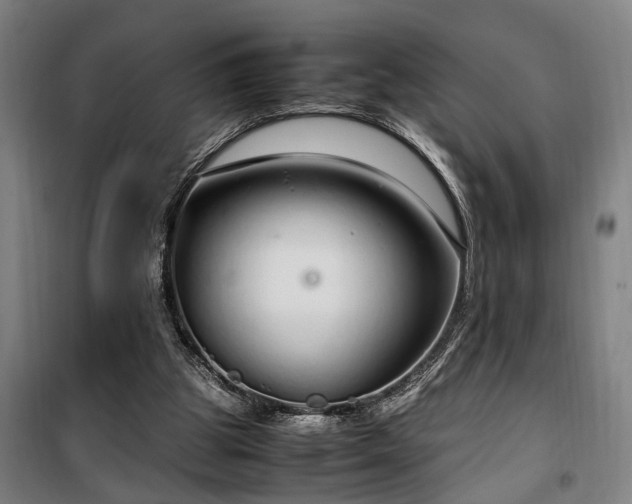 X0000100340153200806121159