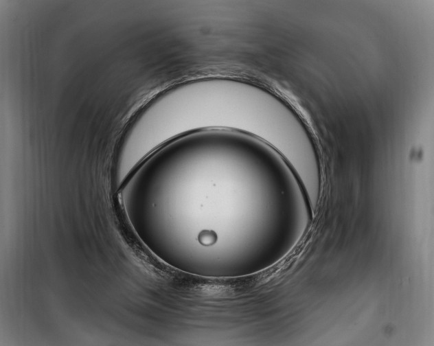 X0000100340154200806121159