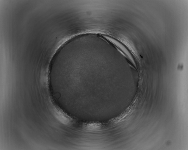 X0000100340156200806121159