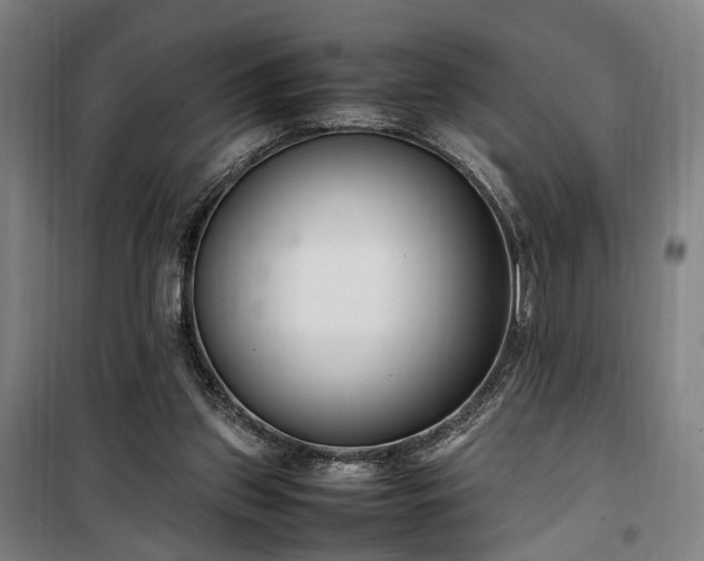 X0000100340157200806121159