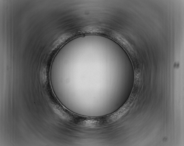 X0000100340158200806121159