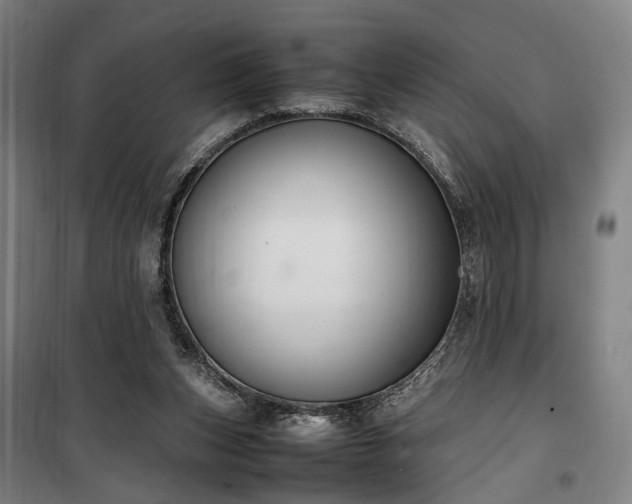 X0000100340159200806121159