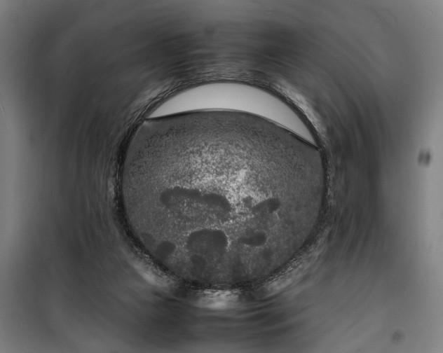 X0000100340161200806121159