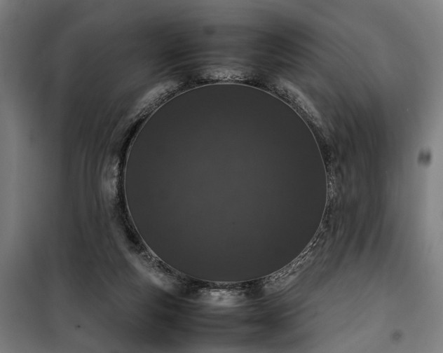 X0000100340163200806121159