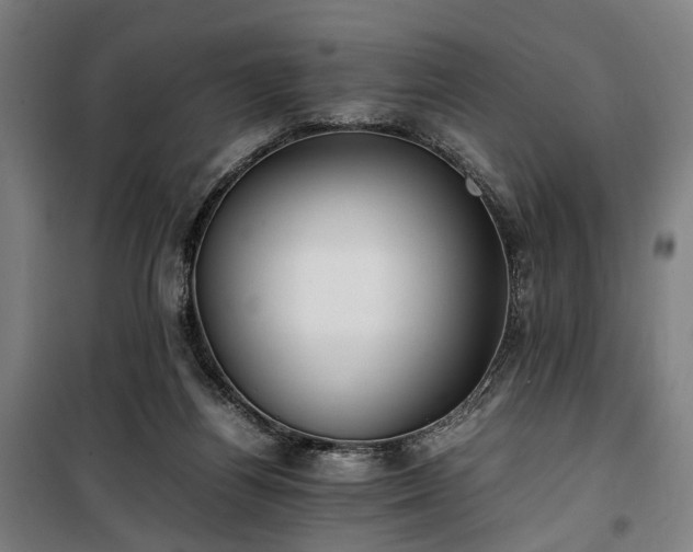 X0000100340164200806121159