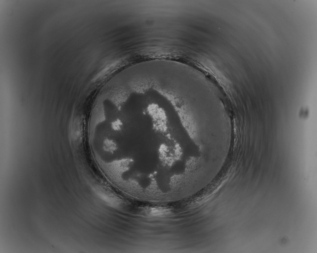 X0000100340165200806121159