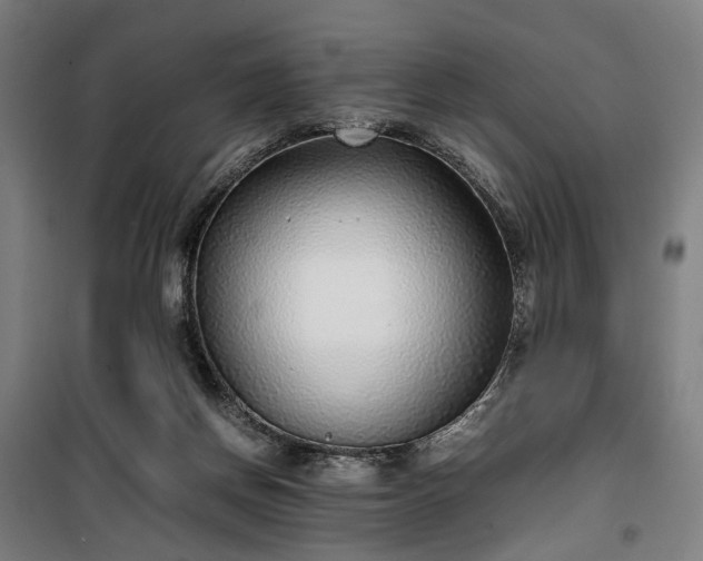 X0000100340166200806121159