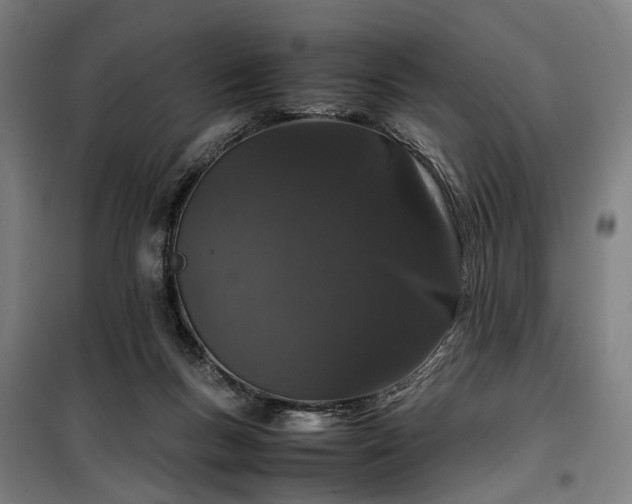 X0000100340167200806121159